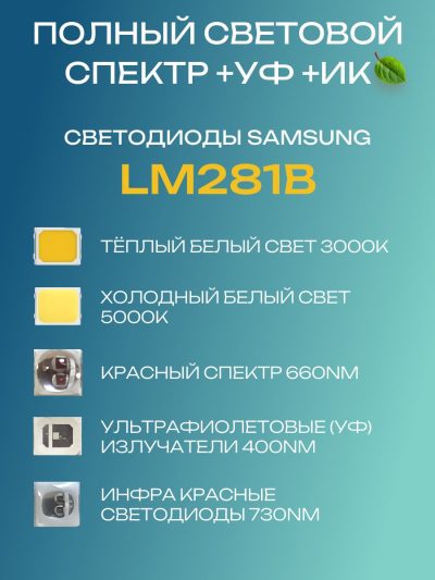 7789995785