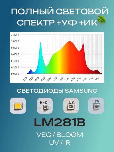 7804982712
