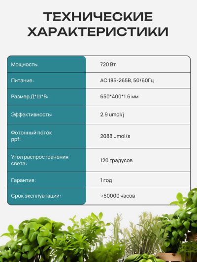 7879531793
